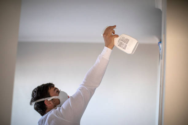 Best Attic Mold Remediation in Greenville, SC