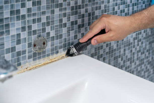 Best DIY Mold Remediation Support Services in Greenville, SC